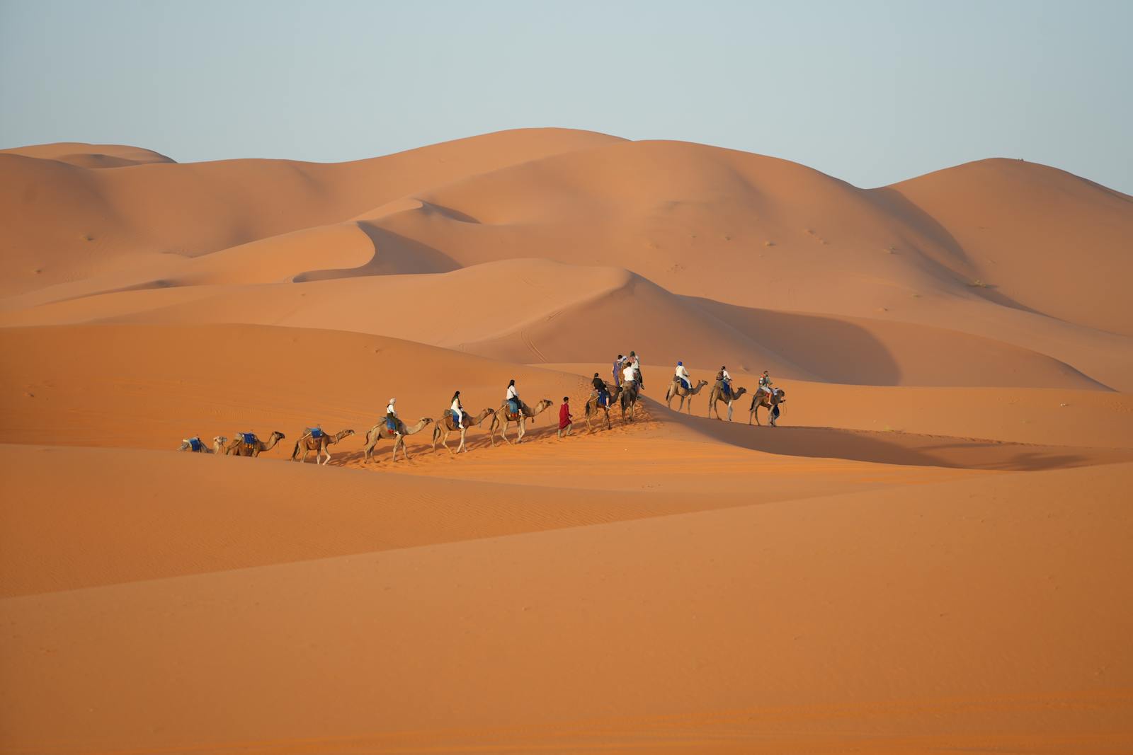 A camel caravan traverses the rolling dunes of Merzouga, Morocco at sunset.