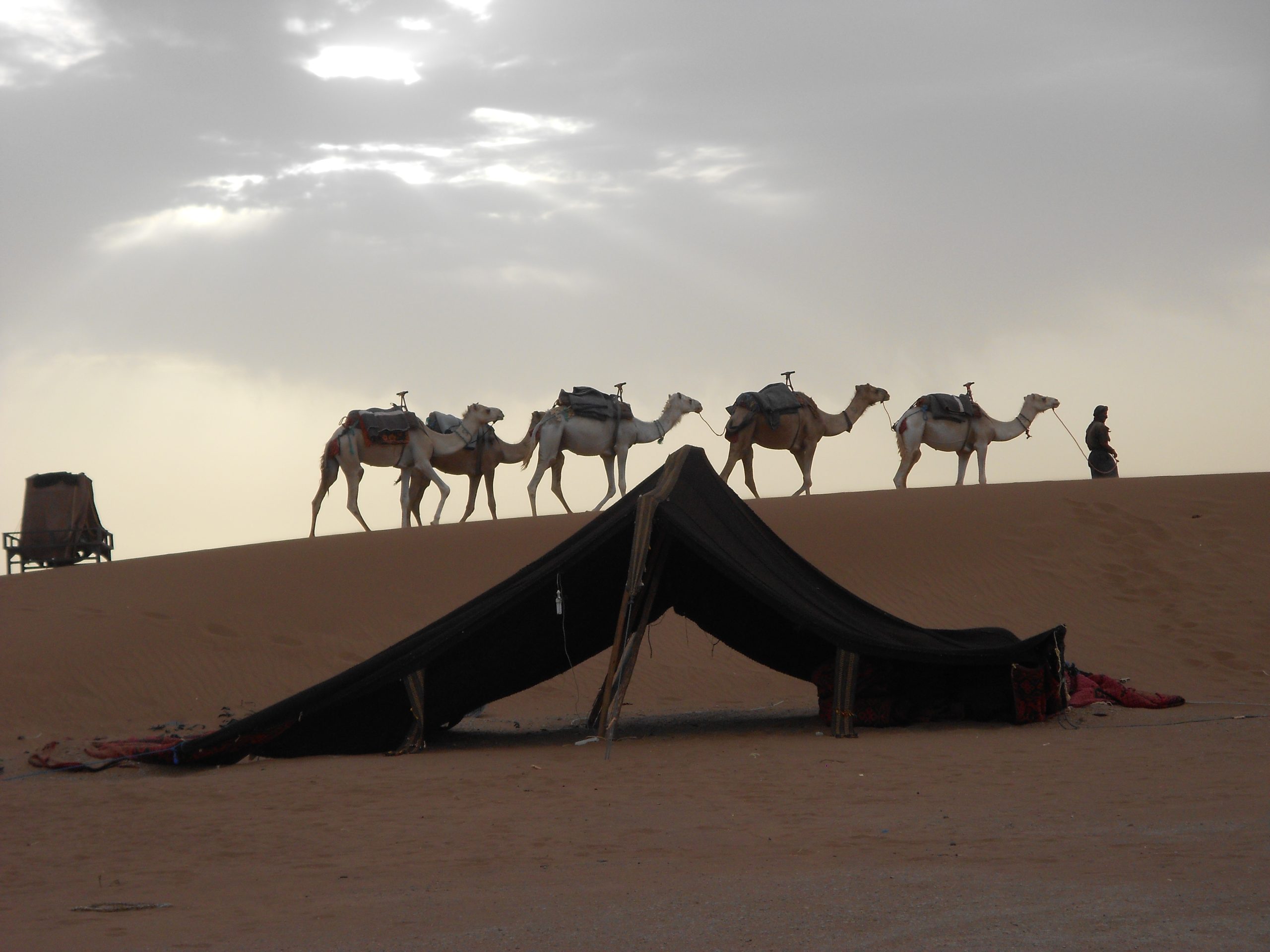 2-Day Fes to Merzouga Desert Tour