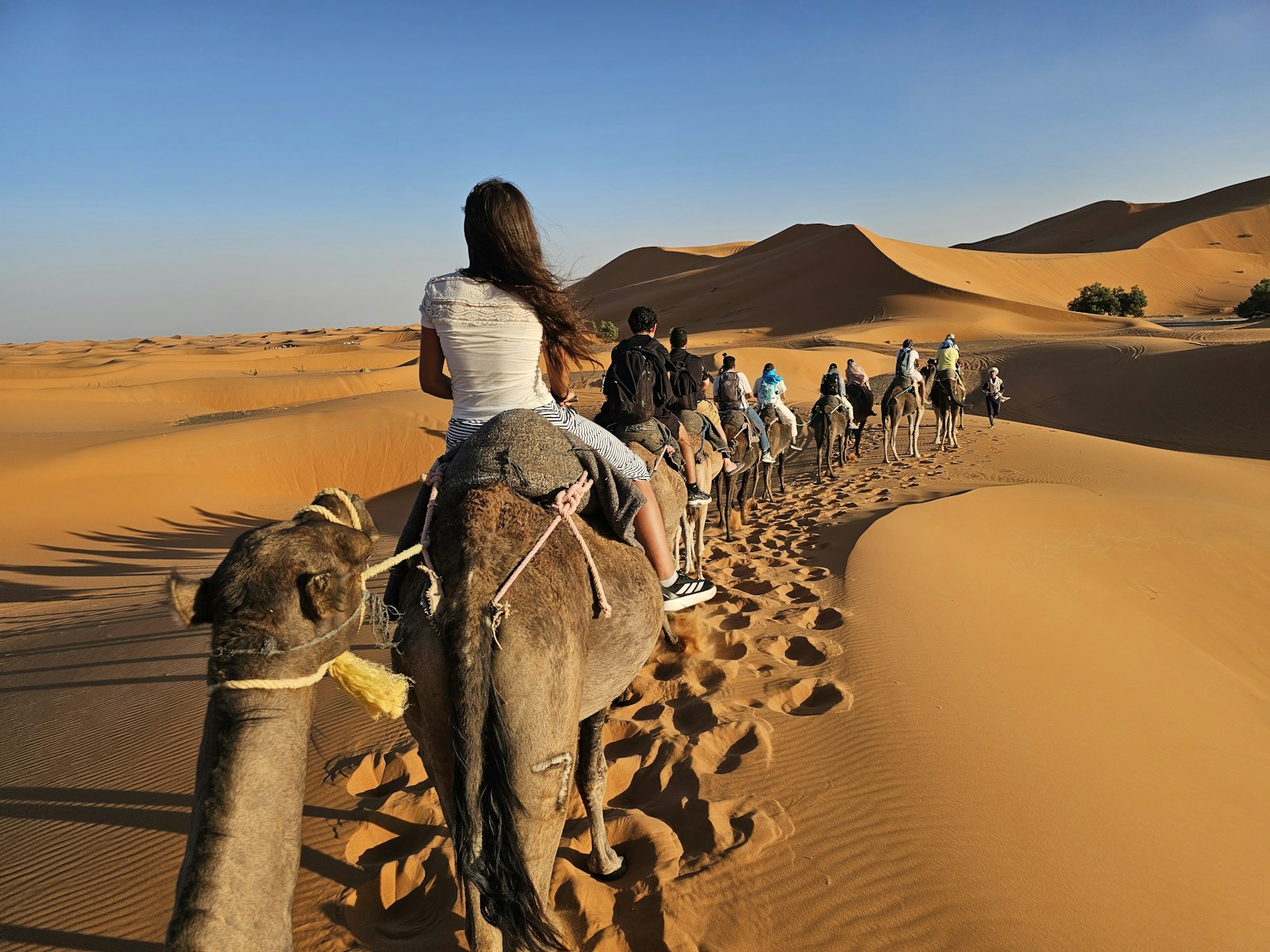 People riding camels through sand dunes at sunset.