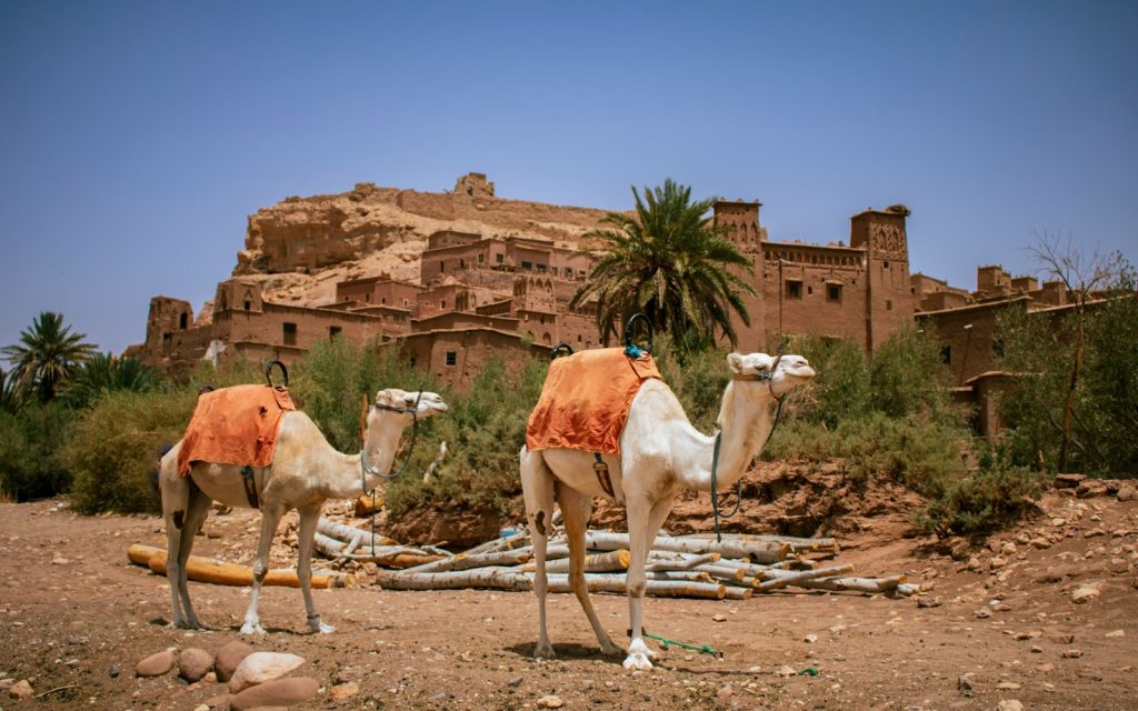 Morocco Holiday Desert | Morocco Tours & Sahara Holidays