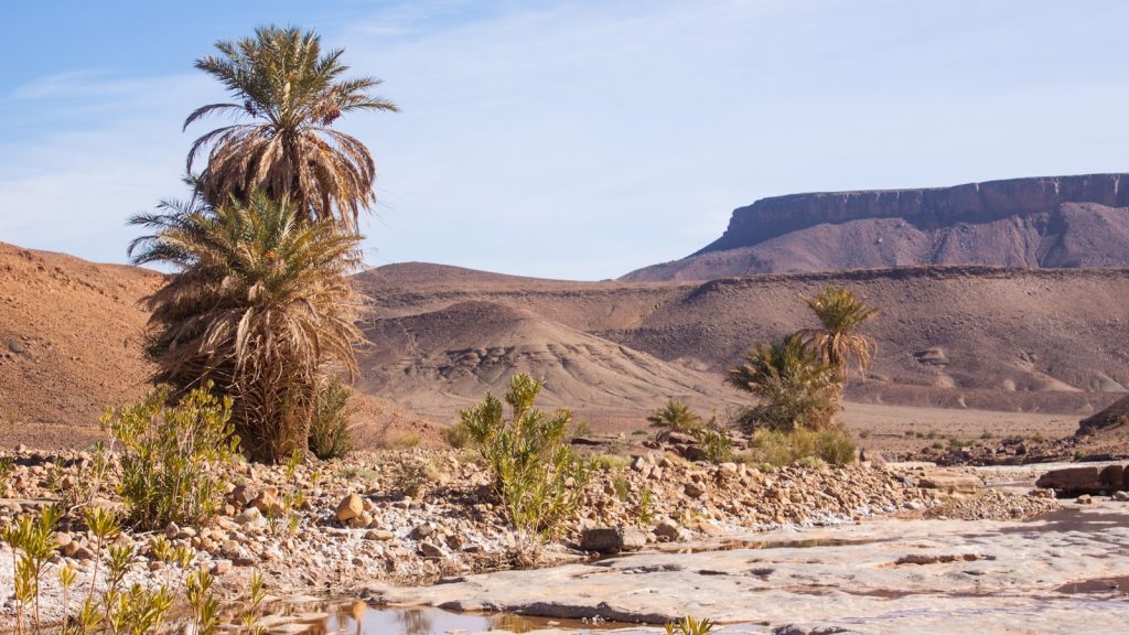 8 Days Tour from Fes to Marrakech